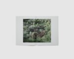 Huit Degres Ressentis — Jezabel Baudo