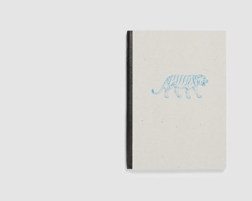 Paraiso — Dani Cardona