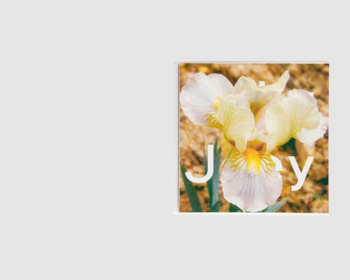 Stéphanie Lagarde — IRIS Number 2: Jolly Joey