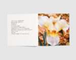 Stéphanie Lagarde — IRIS 2: Jolly Joey