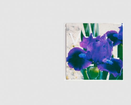 Stéphanie Lagarde — IRIS Number 3: Very violet