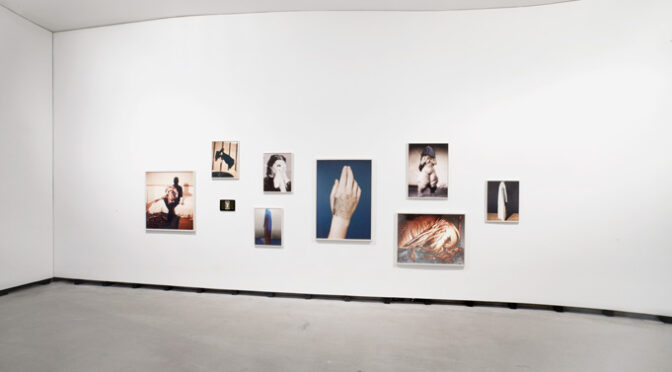 Installationsansicht der Arbeit 'Temptation or Dr. de Clérambault' von Lotte Reimann während der Ausstellung 'Die innere Haut — Kunst und Scham' im Marta Herford, 2017