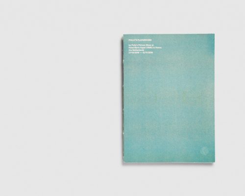 Polly's Picture Show — Polly's Playground