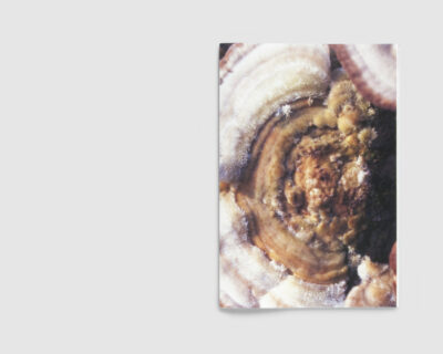FUNGI — Dries Segers