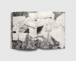 shelter — Anne Penders