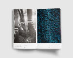 Hotel Bellevue — Dries Segers