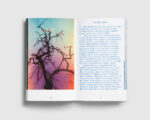 Hotel Bellevue — Dries Segers