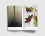 Hotel Bellevue — Dries Segers