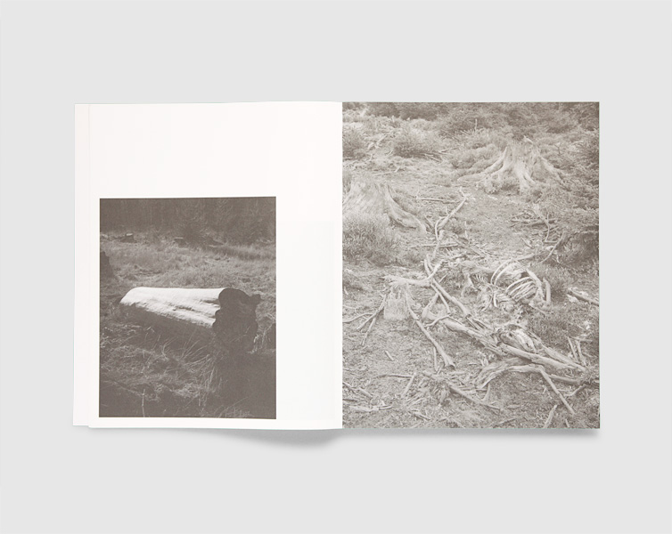 Guillaume Greff – La Sente