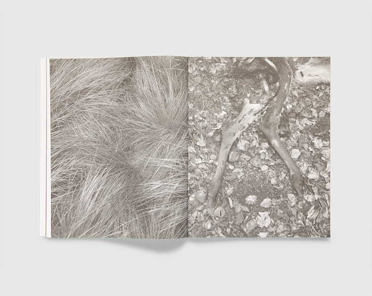 Guillaume Greff – La Sente