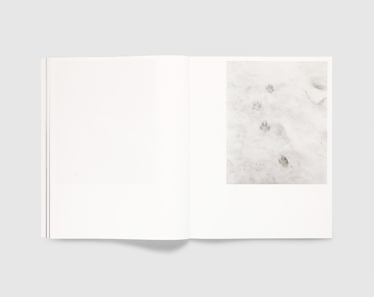 Guillaume Greff – La Sente